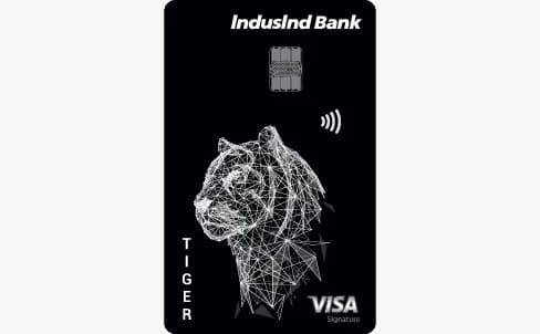 Platinum Visa Credit Card card